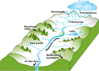 watershed