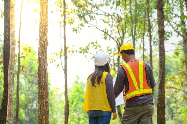 forest-management
